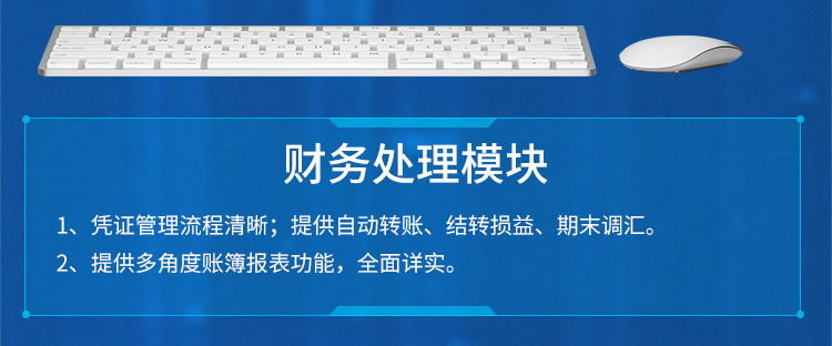 金蝶KIS標(biāo)準(zhǔn)版 